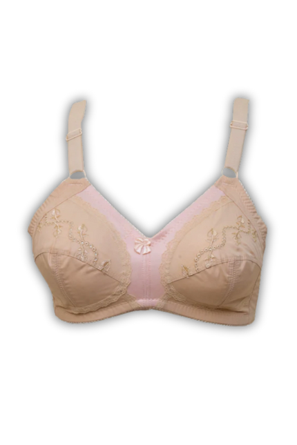 Collection image for: Balaj Comfort Bra