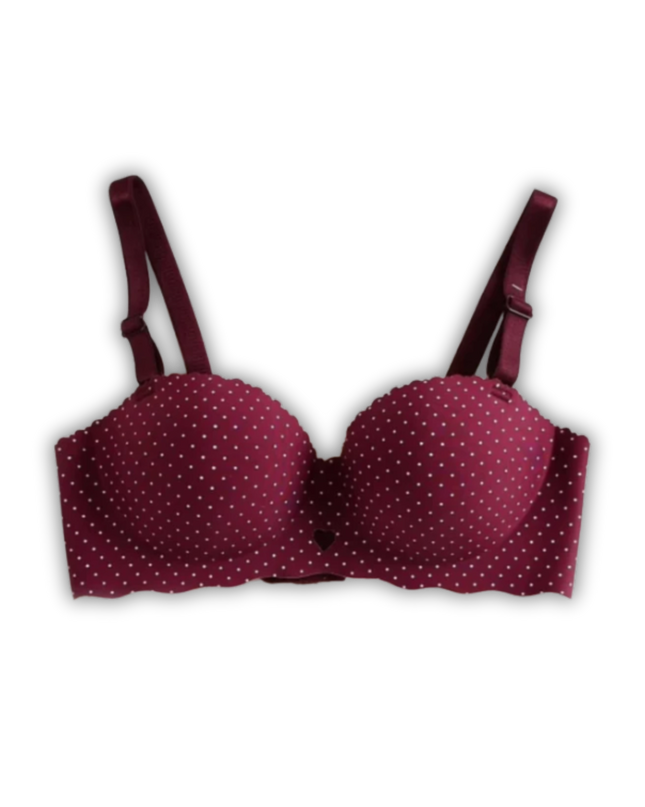 Fancy Lace Padded Bra