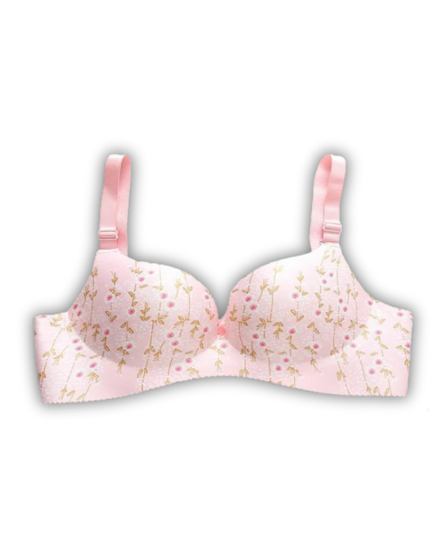 Fancy Lace Padded Bra