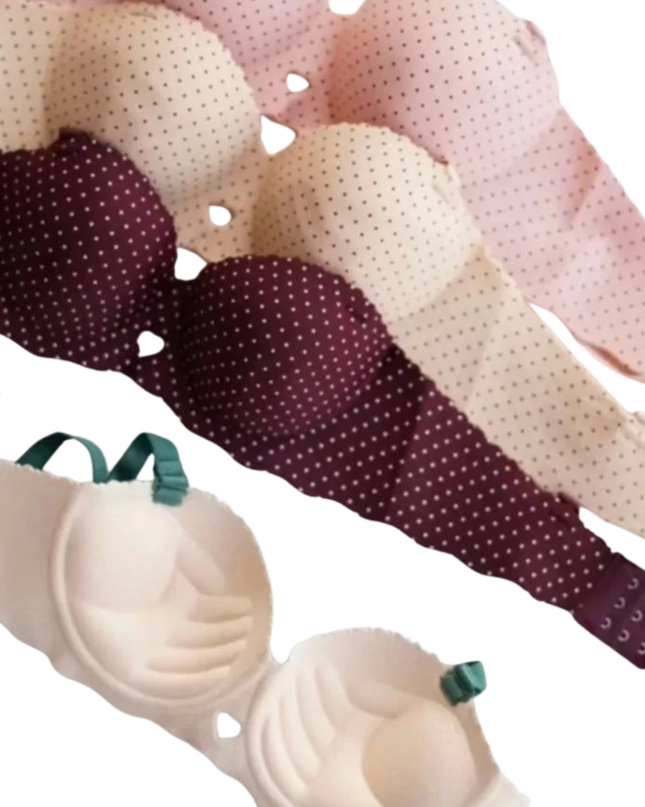 Fancy Lace Padded Bra