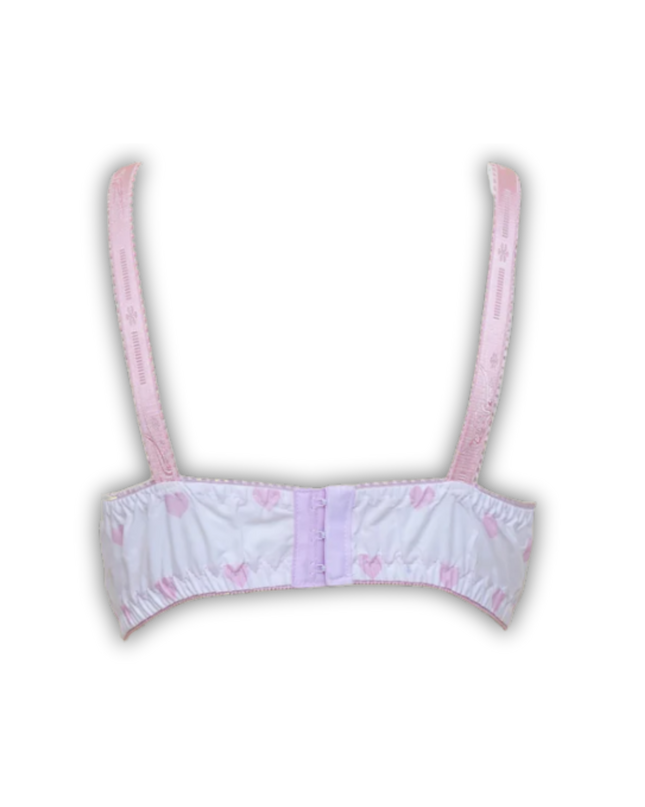 Lavender Petals Bra